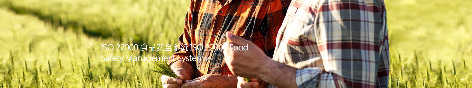 iso22000食品安全管理體系認證咨詢及輔導(dǎo)培訓(xùn)