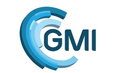 GMI認(rèn)證咨詢現(xiàn)場認(rèn)證評估