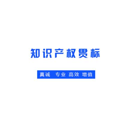 知識(shí)產(chǎn)權(quán)管理體系（貫標(biāo)）